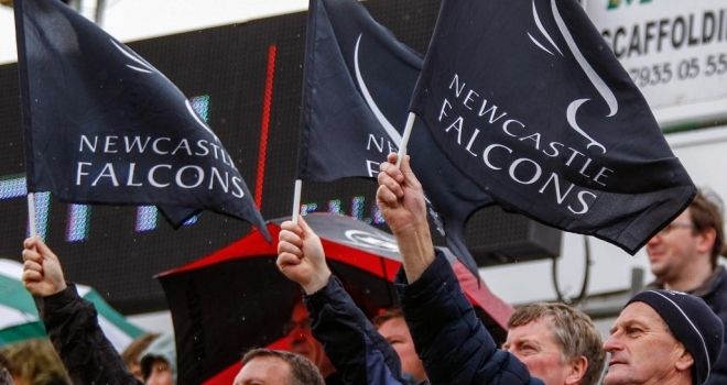 FALCONS ENCOURAGE FANS TO FLY THEIR FLAGS - Newcastle Falcons