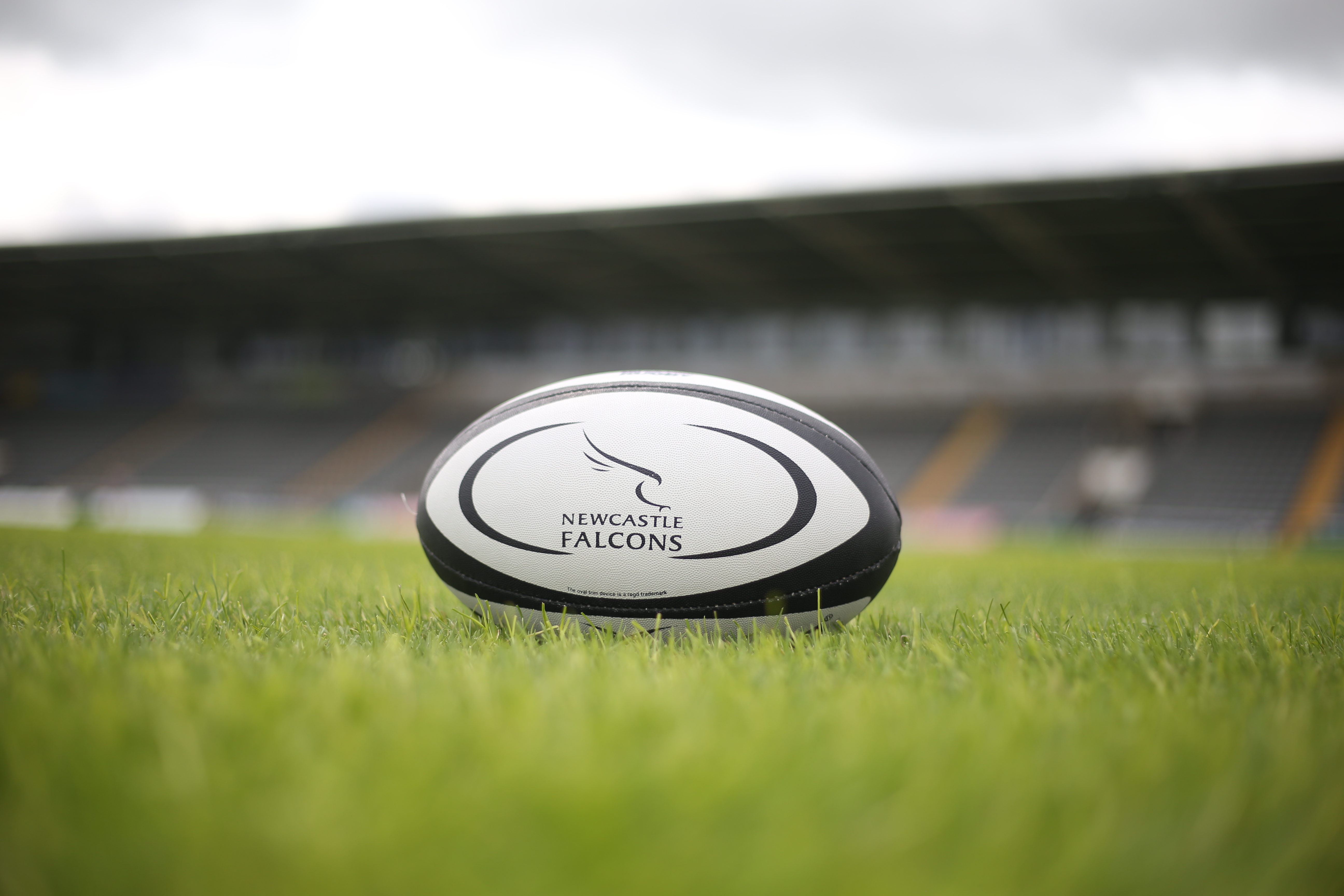 GAME ON - Newcastle Falcons