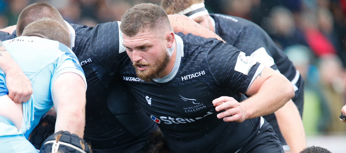 Online shop opening extended - Newcastle Falcons