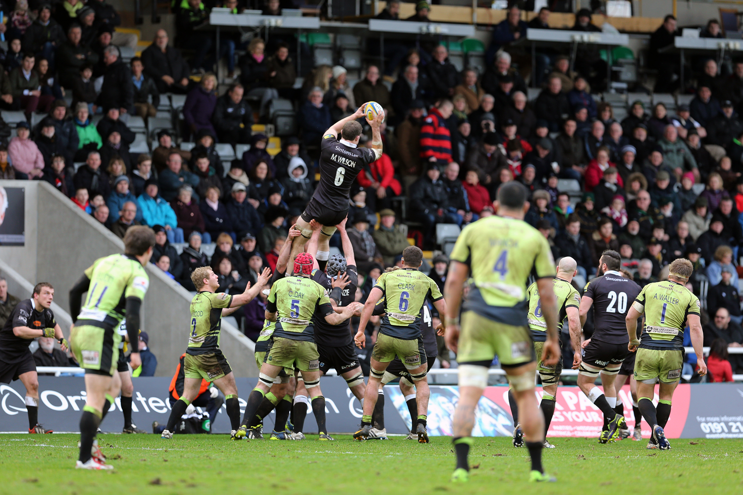 Season Card ticketing arrangements: Newcastle Falcons - Bristol